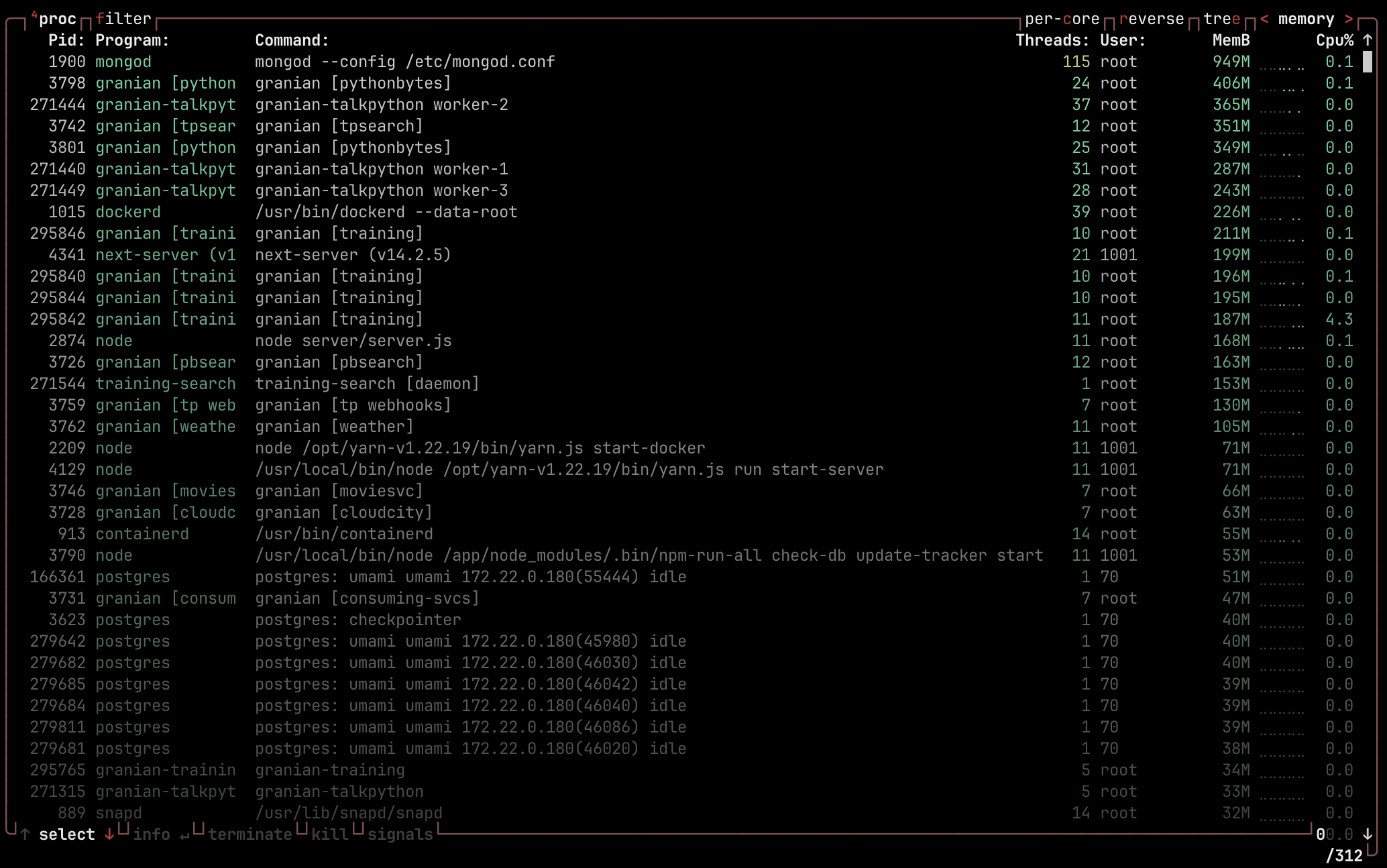 View of processes on Docker host machine.